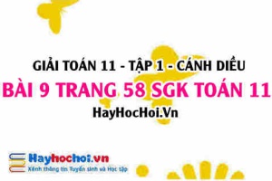 Giải bài 9 trang 58 Toán 11 tập 1 SGK Cánh Diều